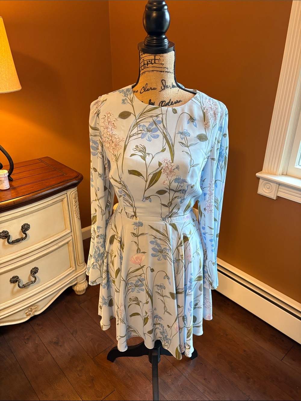 For Love & Lemons Light Blue Floral Long-Sleeve Fit & Flare Dress